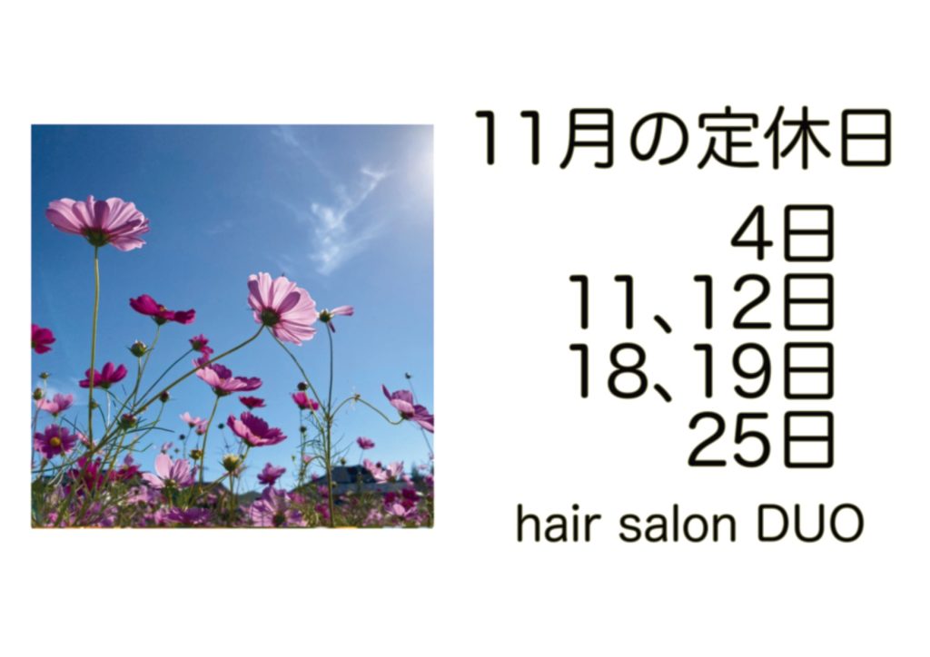 長岡京市の理容店　ヘアーサロンデュオ　2024年11月の定休日