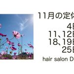 長岡京市の理容店　ヘアーサロンデュオ　2024年11月の定休日