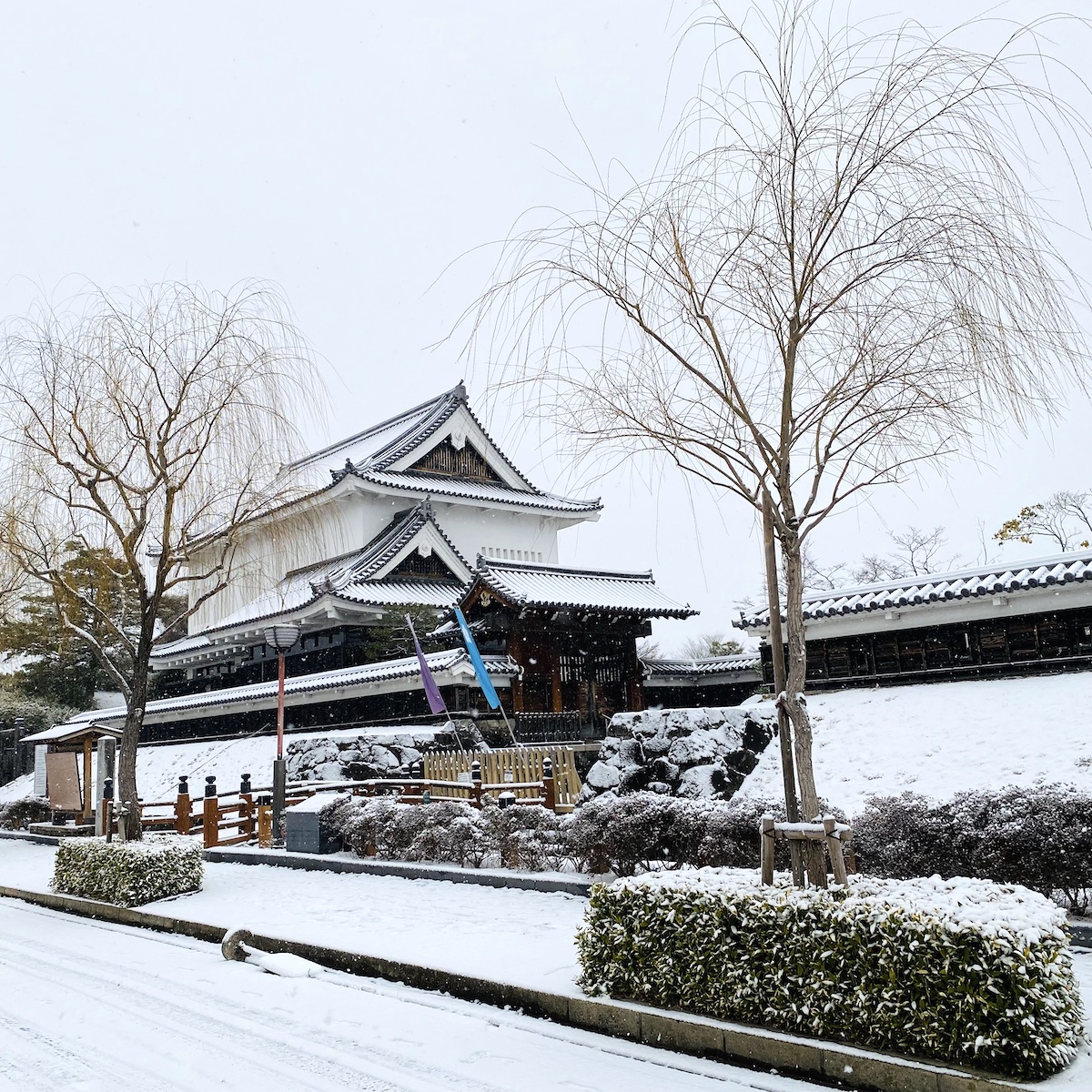 長岡京市の理容店　ヘアーサロンデュオ　2025年2月