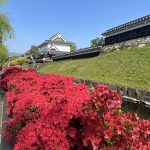 長岡京市の理容店　ヘアーサロンデュオ　2025年5月