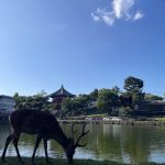 長岡京市の理容店　ヘアーサロンデュオ　2025年7月