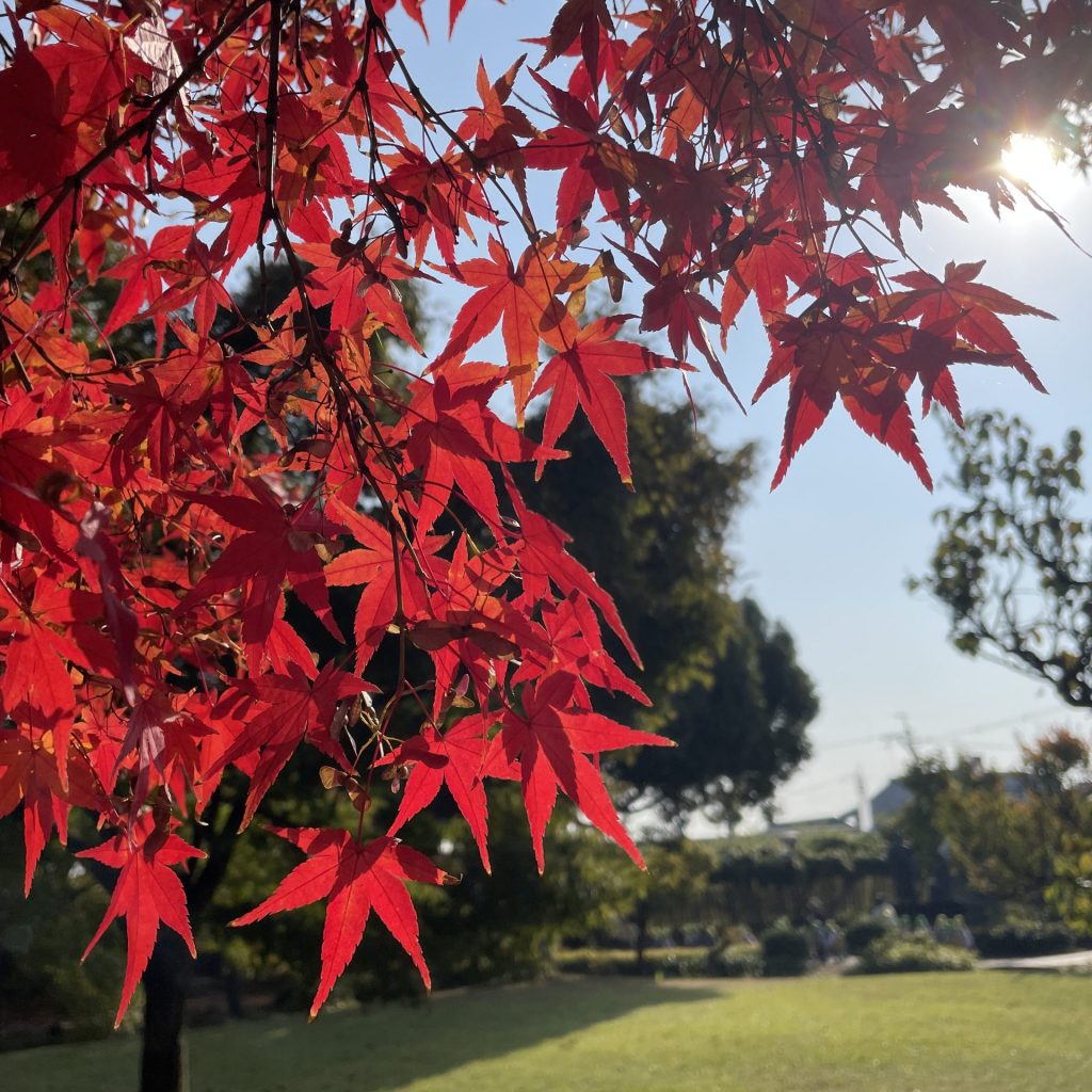長岡京市の理容店　ヘアーサロンデュオ　2025年12月