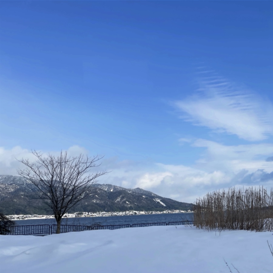 長岡京市の理容店　ヘアーサロンデュオ　2026年2月
